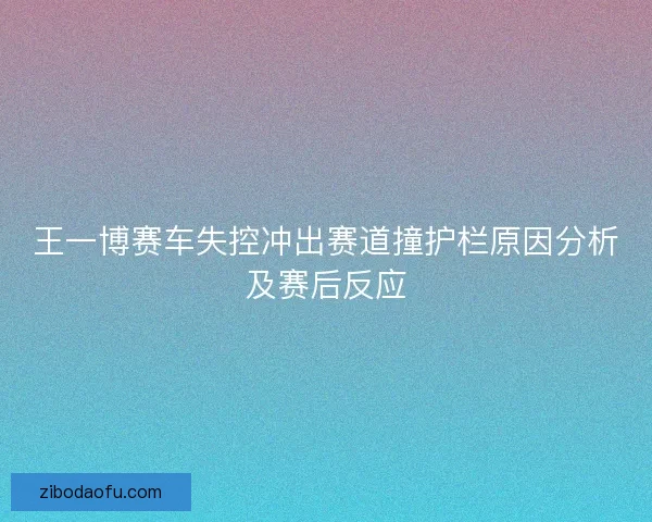 王一博赛车失控冲出赛道撞护栏原因分析及赛后反应