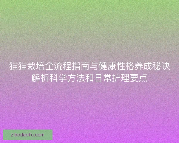 猫猫栽培全流程指南与健康性格养成秘诀解析科学方法和日常护理要点