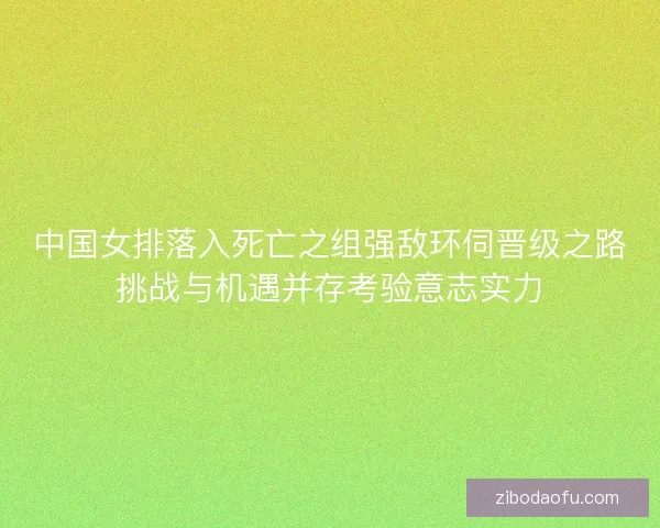 中国女排落入死亡之组强敌环伺晋级之路挑战与机遇并存考验意志实力
