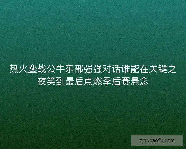 热火鏖战公牛东部强强对话谁能在关键之夜笑到最后点燃季后赛悬念
